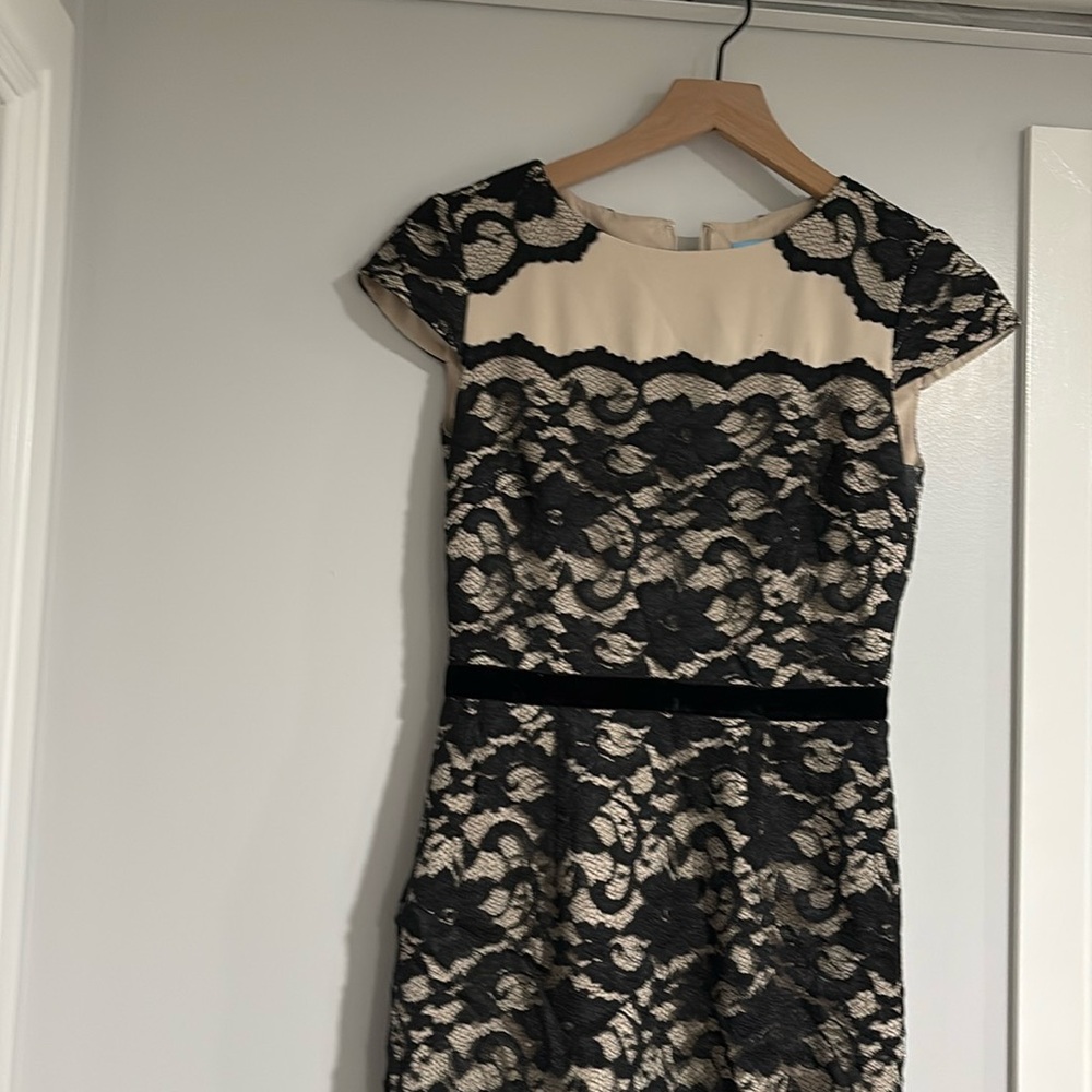 Classy black lace Antonio melani size 2 dress